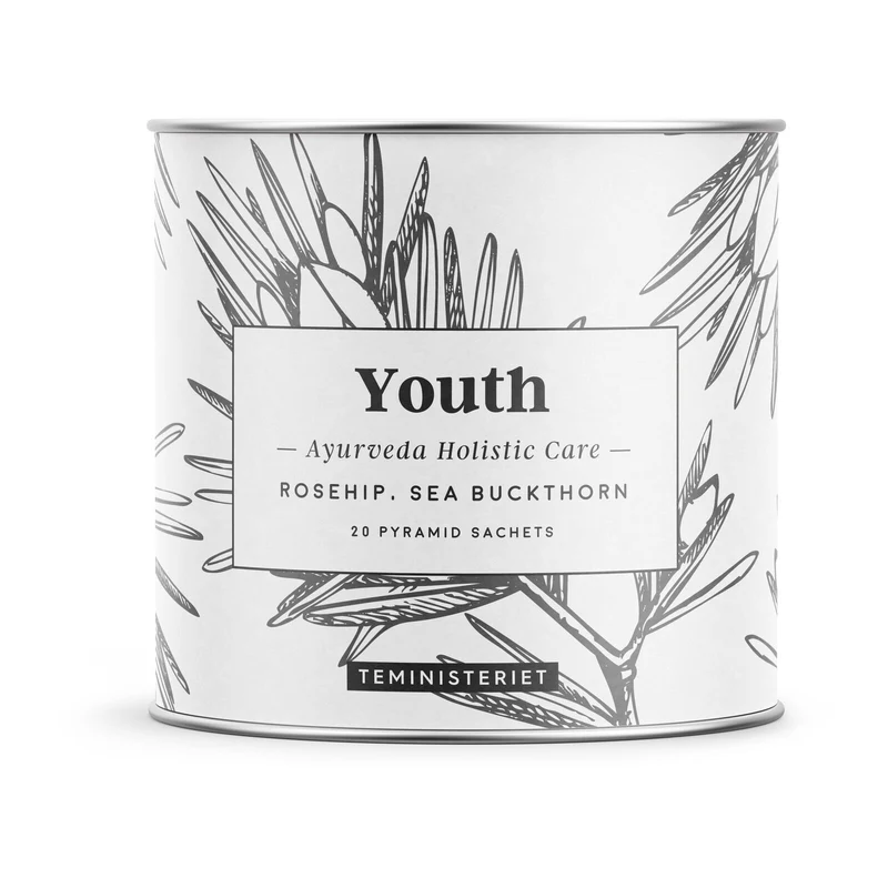 Teministeriet Ayurveda Youth Pyramid Organic Tea