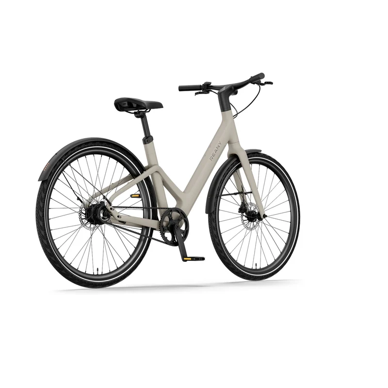 Reany W1 Pro City Desert Gray