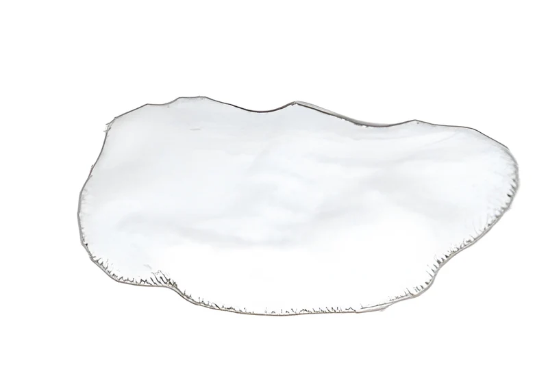 Bissell Powerfresh Steam Mop Pad #1606668
