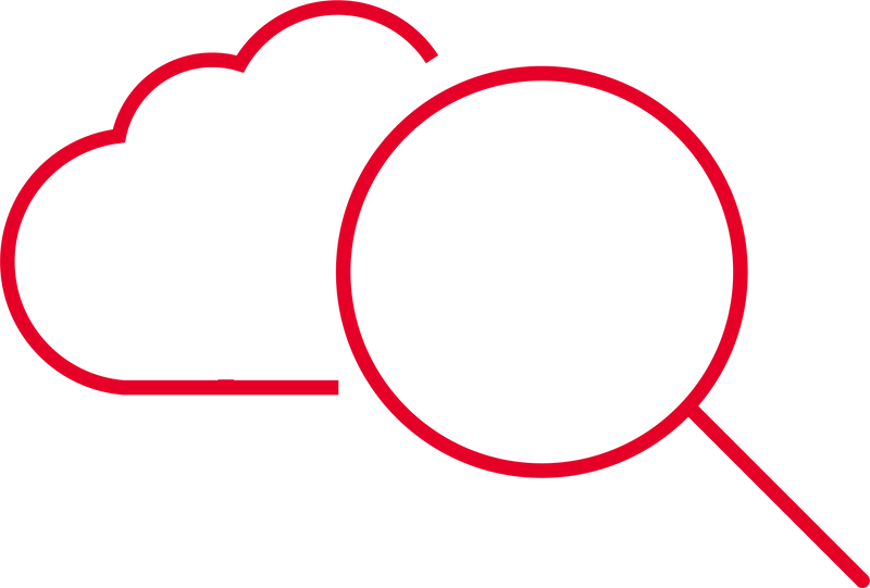 Remote Monitoring (4 Wochen)