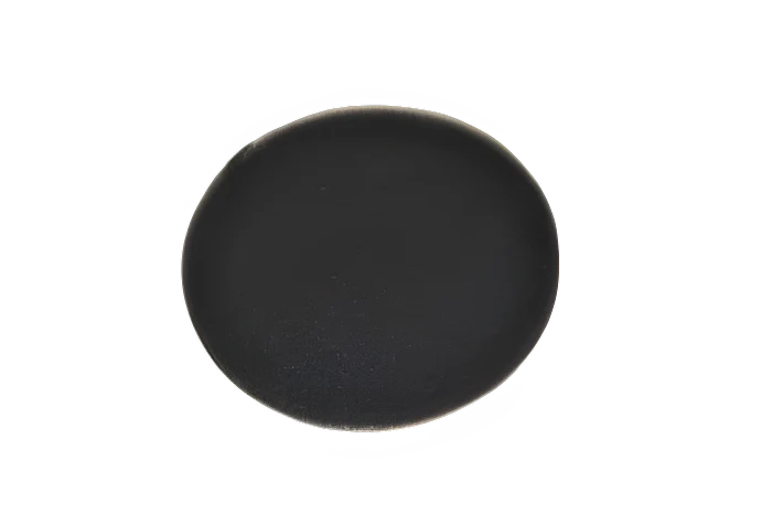 Filter for Secondary Bissell BGC3000 Canister, Foam Vacuum #C3000-16