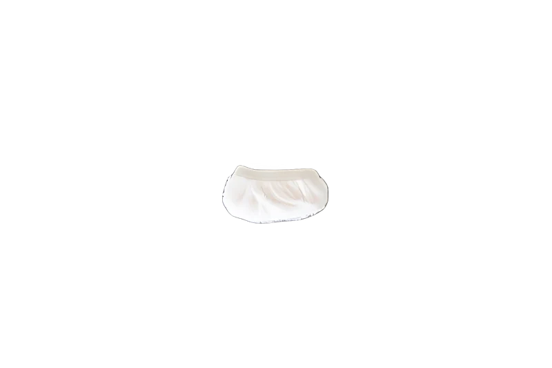 Royal Cloth Cleaning Pad Small Vacuum #440001017