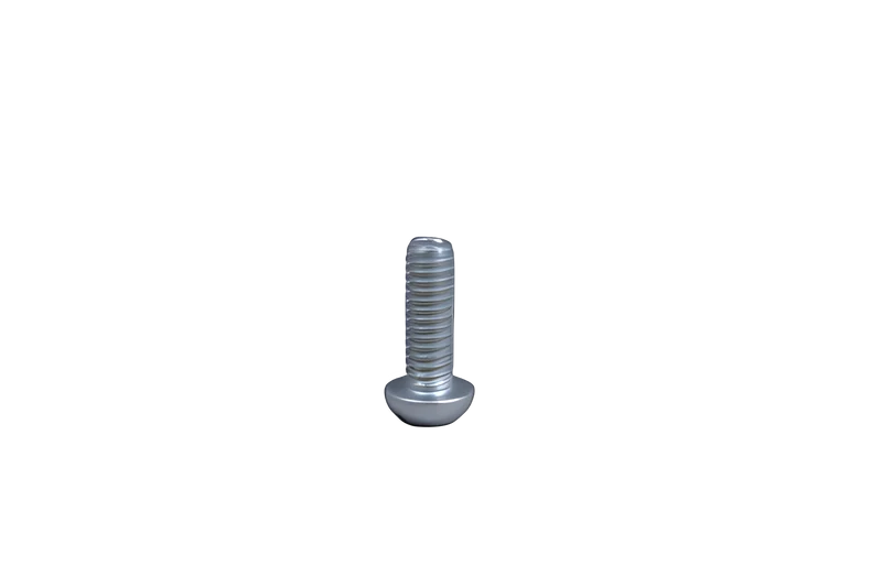 Hoover Dial 1100 Rear Wheel Shaft/Motor Mount Screw #12146