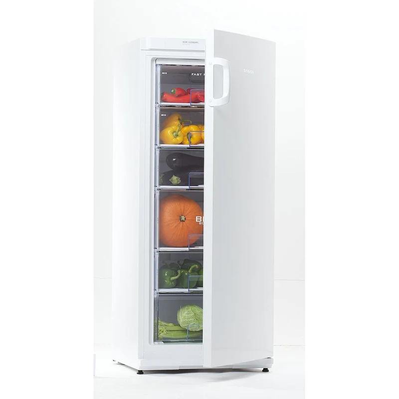 F 22SM-T1000E1