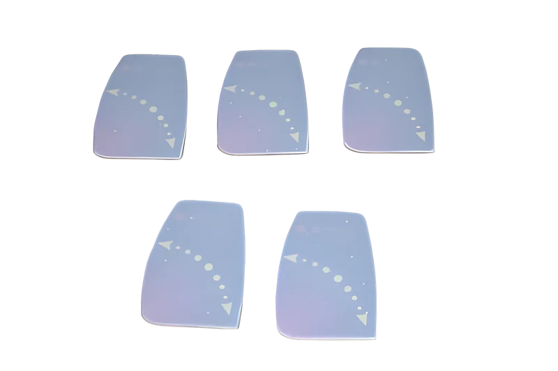 Kirby G 5 Belt Lifter Label 5pk #673697S