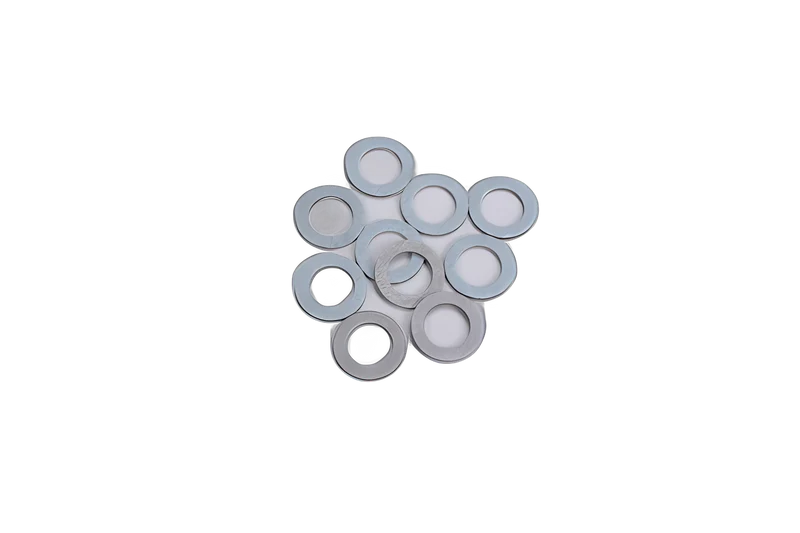 Washer Fan (10 Pack) Eureka Bravo/World Vac Vacuum #54811