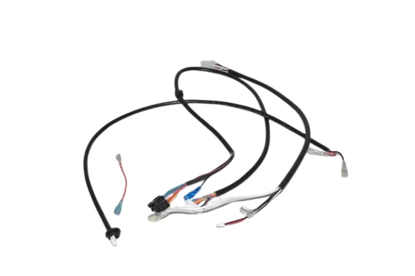 Riccar R25 Wire Harness Kit #B603-1200