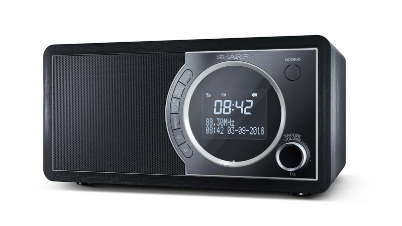 Sharp DR-450 Personal Digital Svart