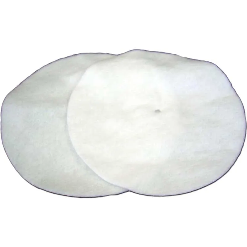 Proteam Provac, Sierra, Everest Back Pack Micro Dome Filters - 2 Pack