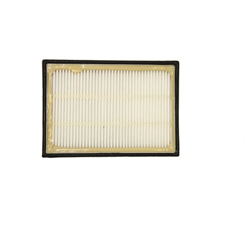 Panasonic MC-CL310 HEPA Exhaust Filter - AC38KDRDZ000 - 1 Pack