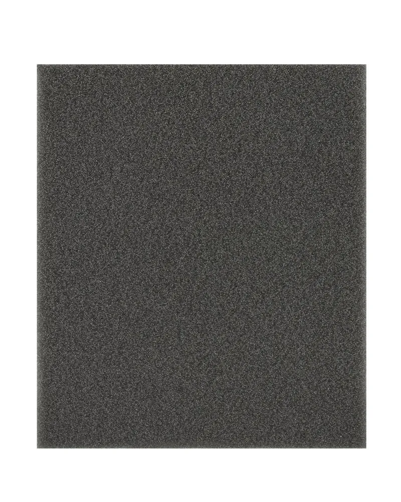 Eureka 3500AE Foam Sponge Exhaust Filter