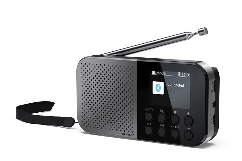 Sharp DR-P520 Personal Digital Grå