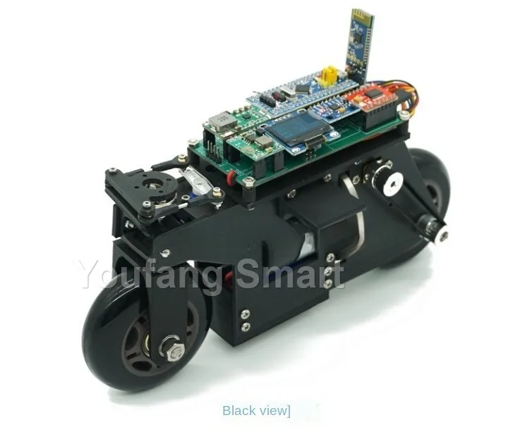 RC Tank 3D Printing Bike Cubli Balance Motorcycle APP Control 2WD Robotic Car for STM32 Programmable Robot Kit Robot Car Project