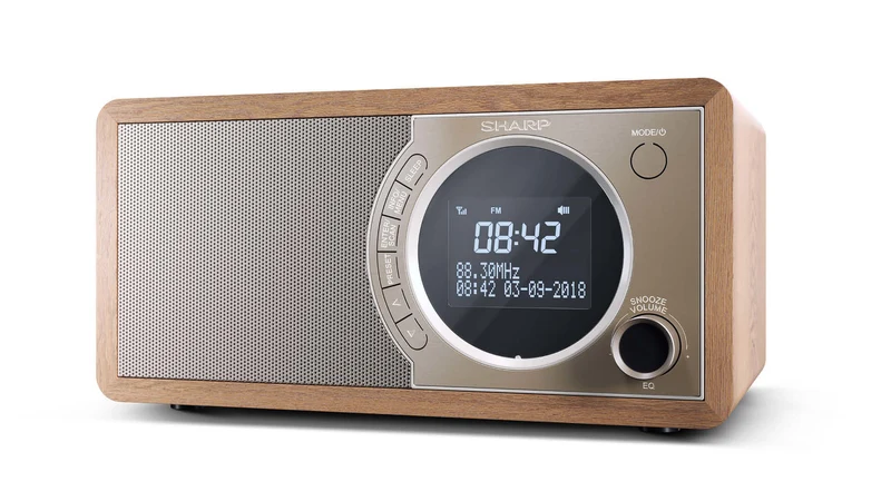 Sharp DR-450 Personal Digital Brun
