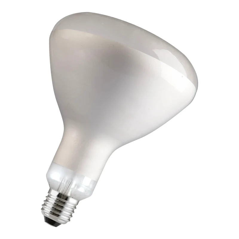 Philips 60800122044 glödlampor 250 W