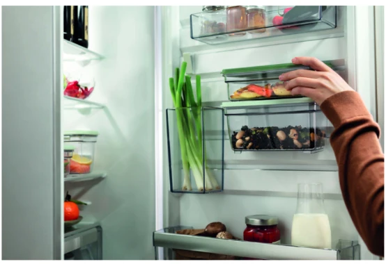 Electrolux EVFB1 Rektangulär Ställ Grön