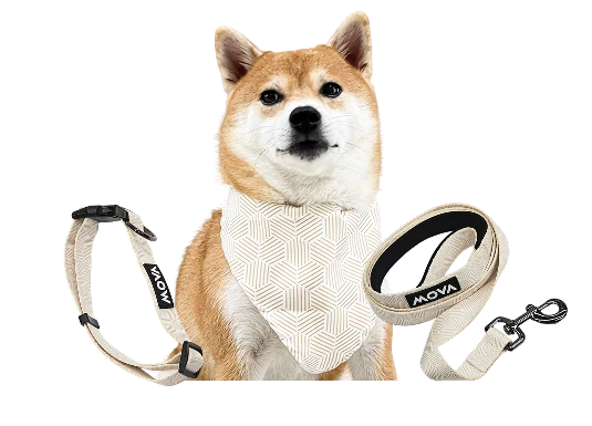 ‍MOVA Pet Accessories Set: Bib, Leash & Adjustable Collar (100% off)